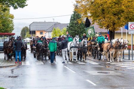 Konjeniški pohod Konjerejskega društva Radohova vas 3